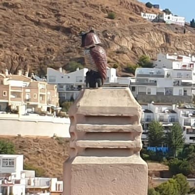 Instalación de buhos espantapájaros