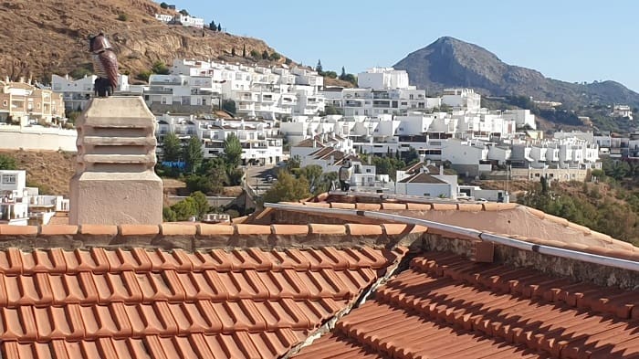 Trabajo realizado: Instalación de buhos espantapájaros malaga