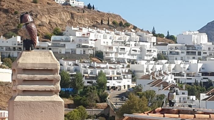 Trabajo realizado: Instalación de buhos espantapájaros malaga
