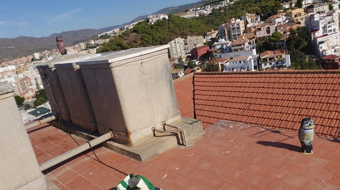Trabajo realizado: Instalación de buhos espantapájaros malaga