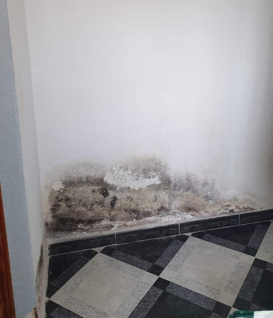 imágenes reparacion humedad en pladur