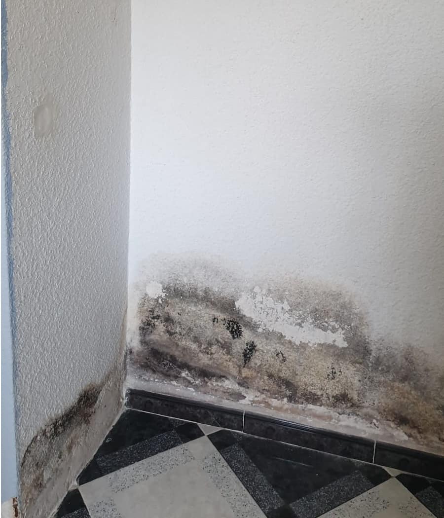 imágenes reparacion humedad en pladur